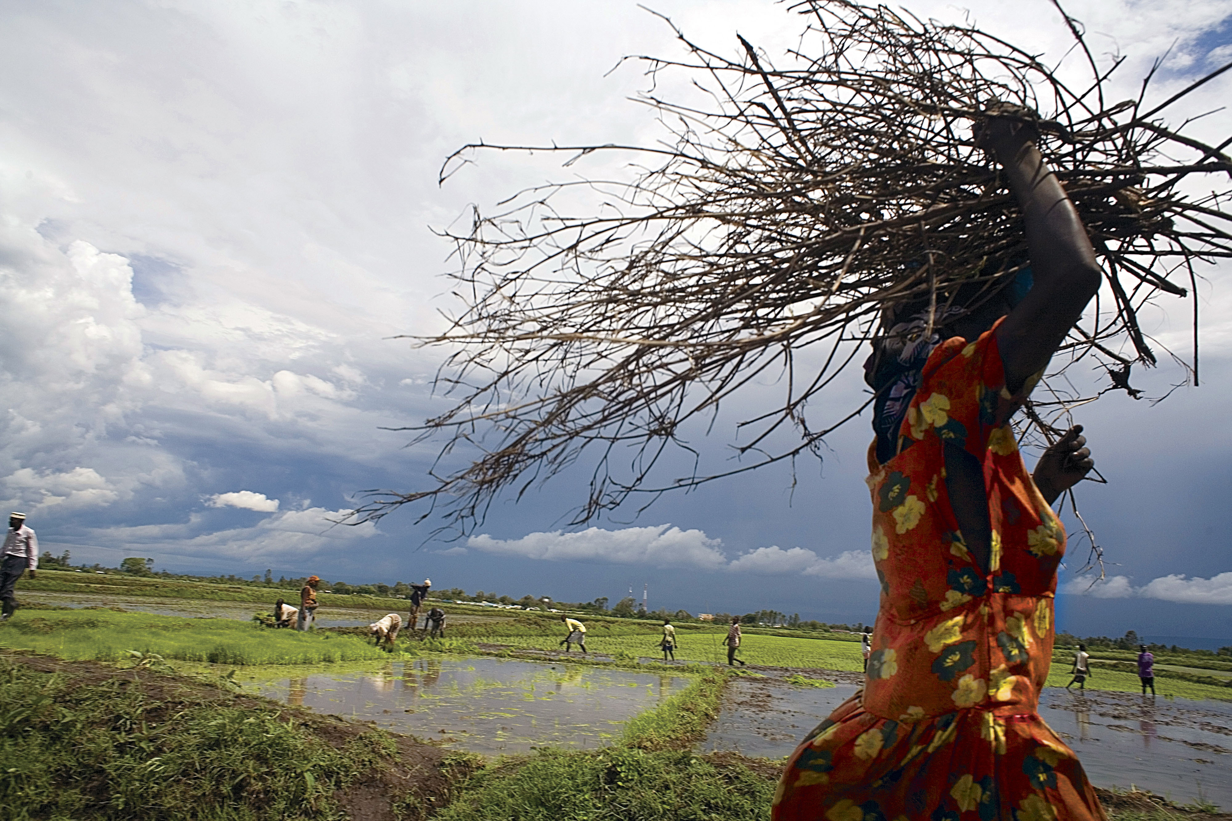 kenya-the-reality-of-agriculture-in-kilifi