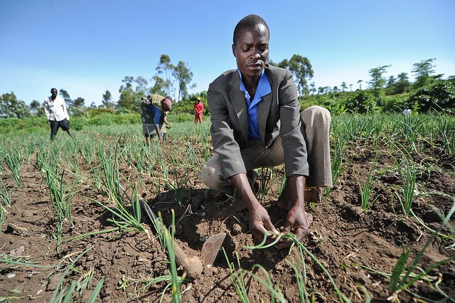 #IYD2016: How Young People Can Be Motivated In Practicing Sustainable ...